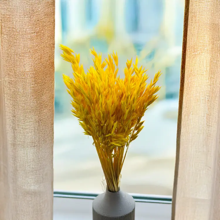 Owies żółty  suszony barwiony kłosy bukiet 2.png