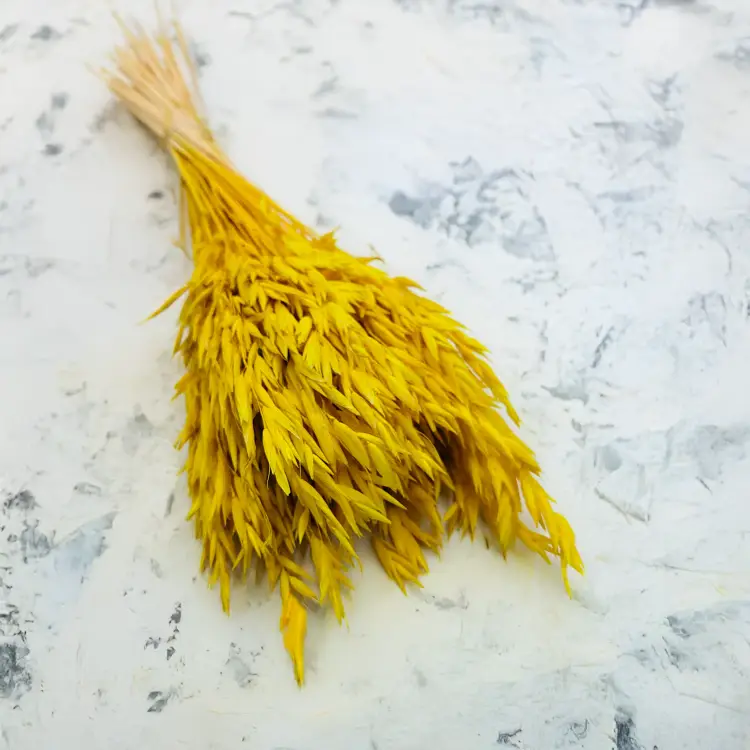 Owies żółty  suszony barwiony kłosy bukiet 4.png