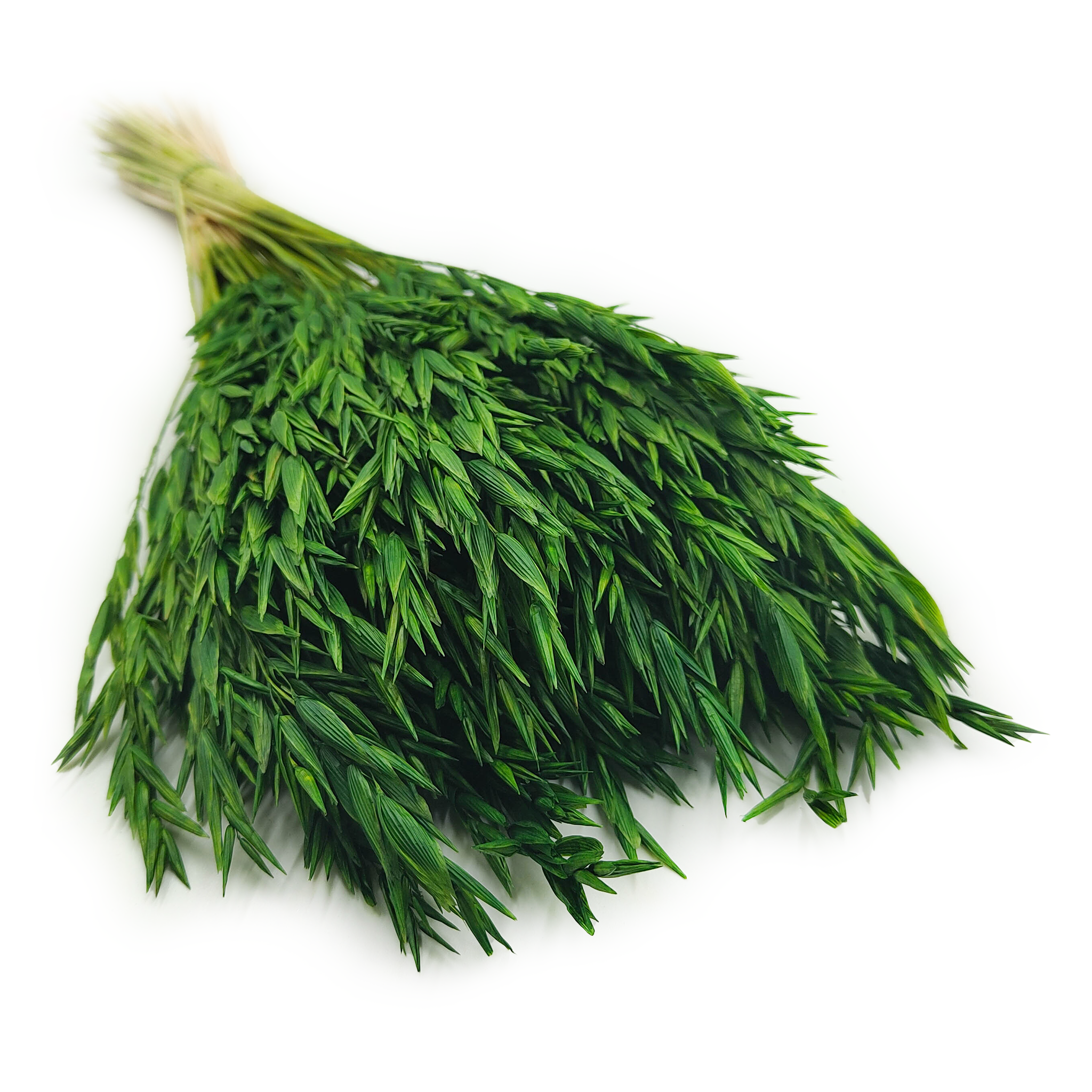 Avoine Séchée – Vert Bouteille