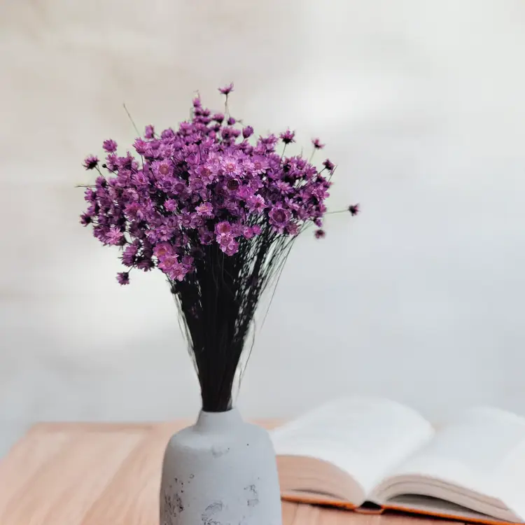 Glixia Lawendowa gliksja suszona kwiaty suszone bukiet 50g_80.png