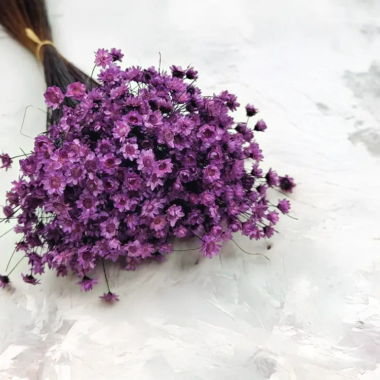 Glixia Lawendowa gliksja suszona kwiaty suszone bukiet 50g_80 5.png