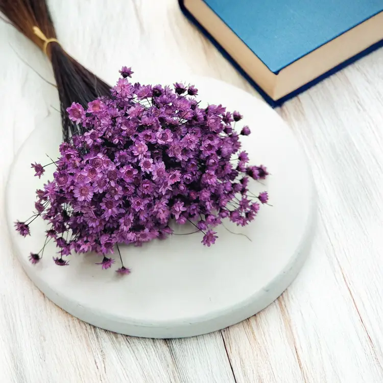 Glixia Lawendowa gliksja suszona kwiaty suszone bukiet 50g_80 4.png