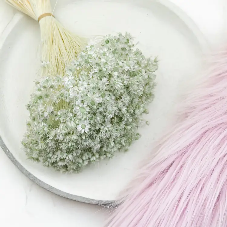 Glixia Miętowa gliksja suszona kwiaty suszone bukiet 50g_F60 3.png