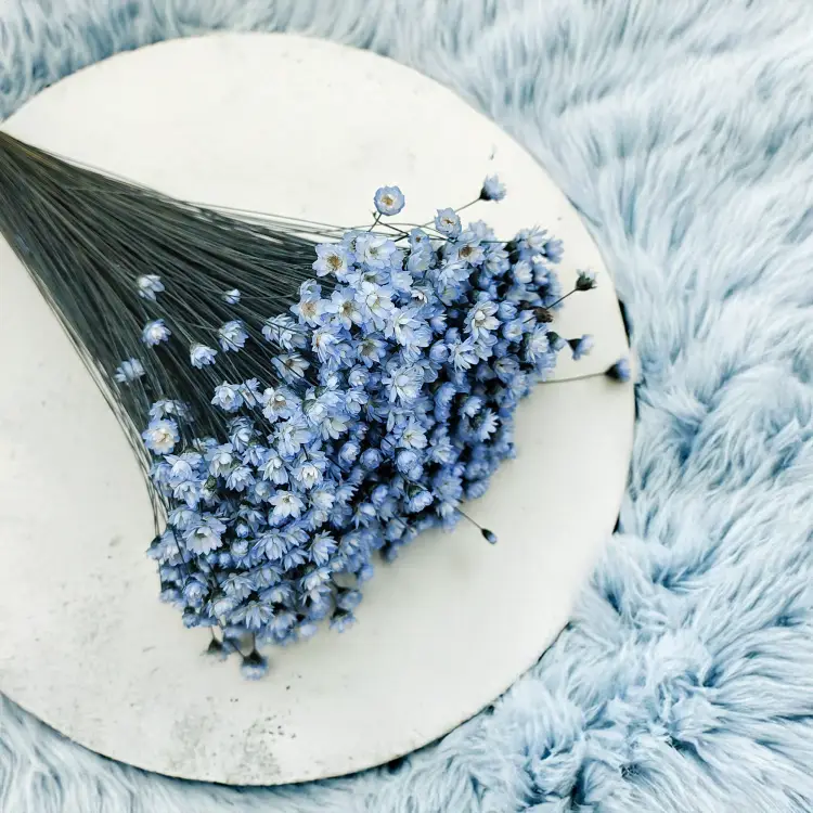 Glixia Niebieska gliksja suszona kwiaty suszone bukiet 50g_78 2.png