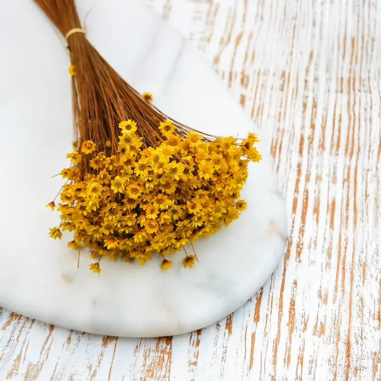 Glixia Żółta gliksja suszona kwiaty suszone bukiet 50g_12 3.png