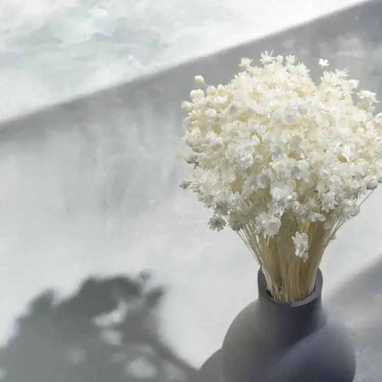 Glixia Bielona Gliksja bukiet 4.png