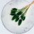 Oset zielony 2.png