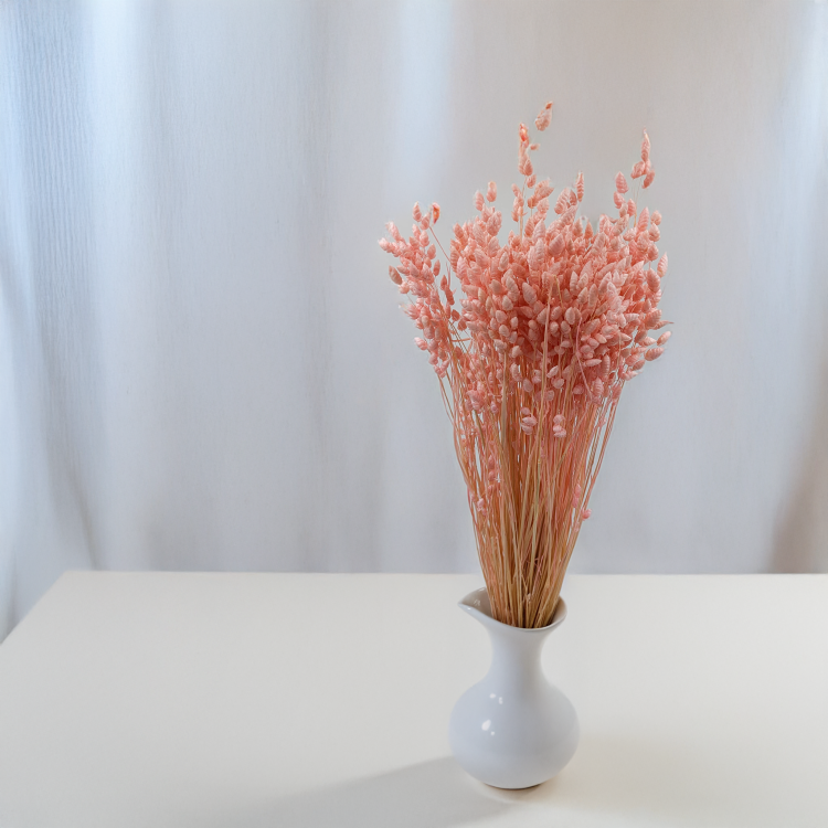 Briza Maxima różowa 3.png