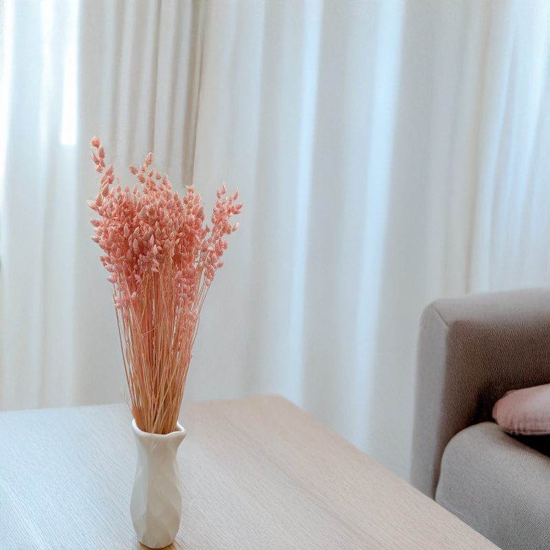 Briza Maxima różowa 4.png