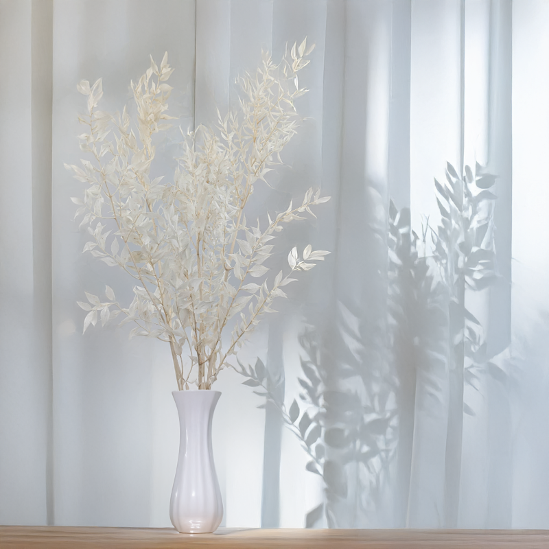 Ruskus bielony 3.png