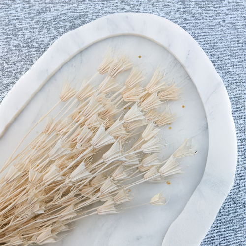 Nigella Biała 2.png