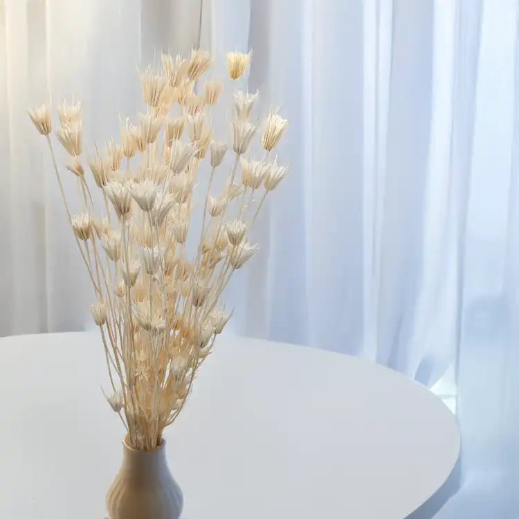 Nigella Biała 3.png