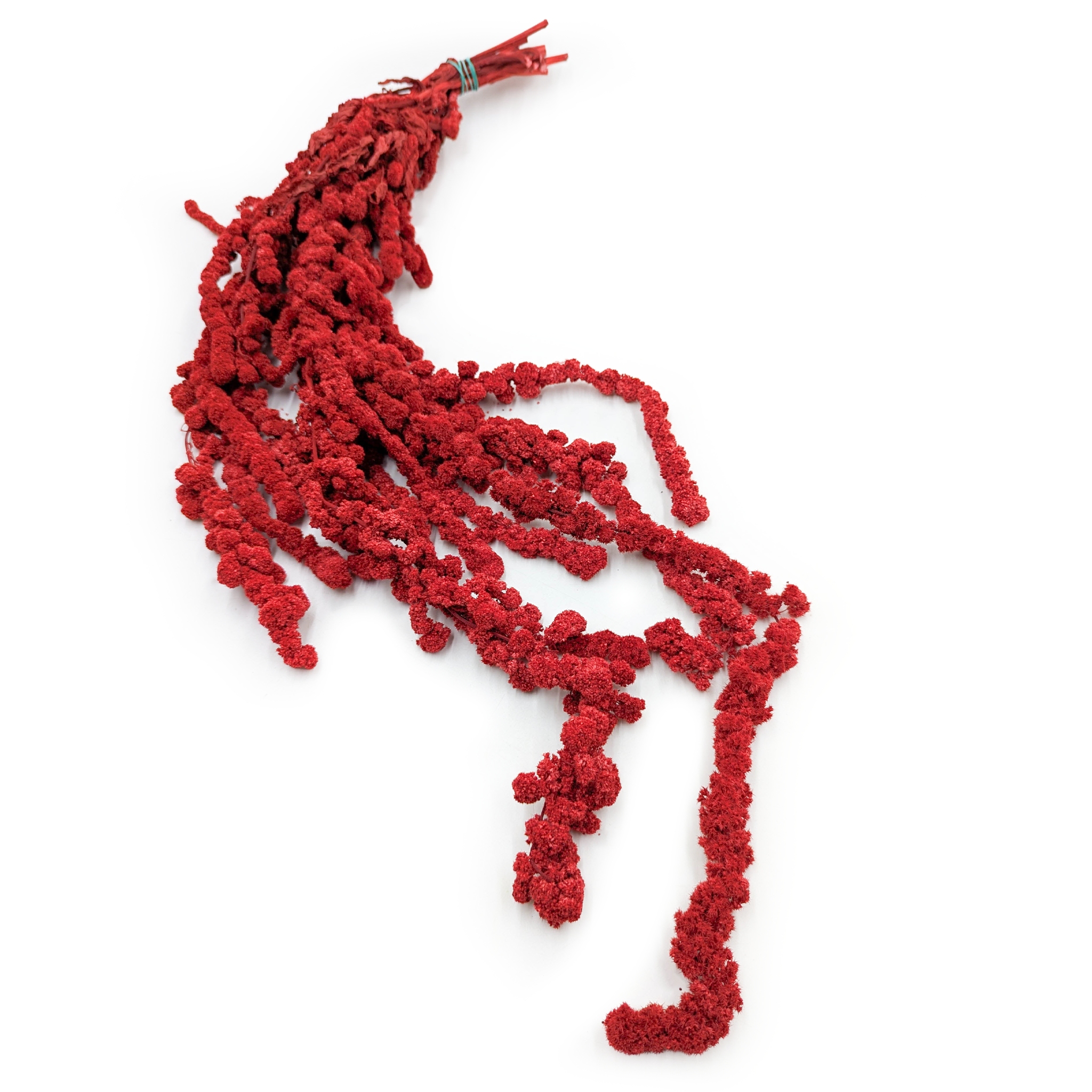 Amarante stabilisée – Rouge