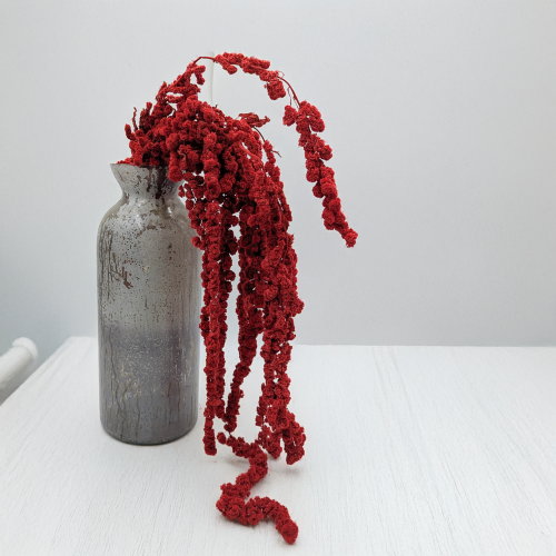 Szarłat Ball czerwony 3.png