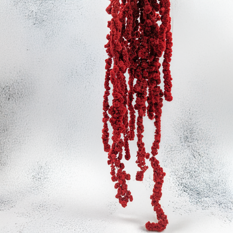 Szarłat Ball czerwony 4.png