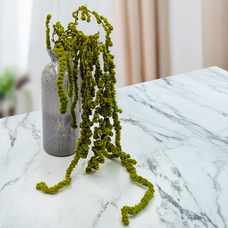 Szarłat Ball jasna zieleń 3.png