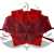 SnapWrap-012-Red.jpg