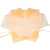SnapWrap-052-Orange.jpg