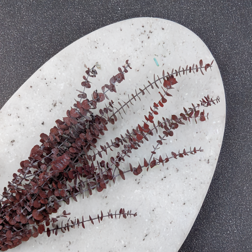 Eukaliptus Baby czerwony 2.png