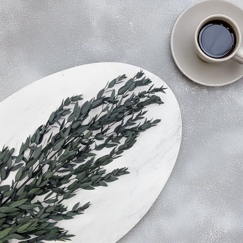 Eukaliptus Parvifolia Zielony 2.png