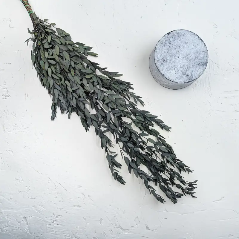 Eukaliptus Parvifolia Zielony 1.png