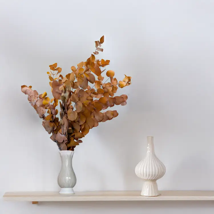 Eukaliptus Espiral jesienny jasny 5.png