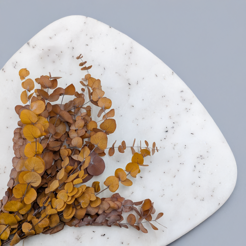 Eukaliptus Espiral jesienny jasny 2.png