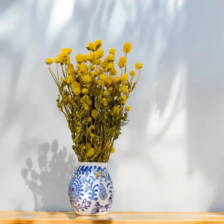 Gomphrena żółta 3.png