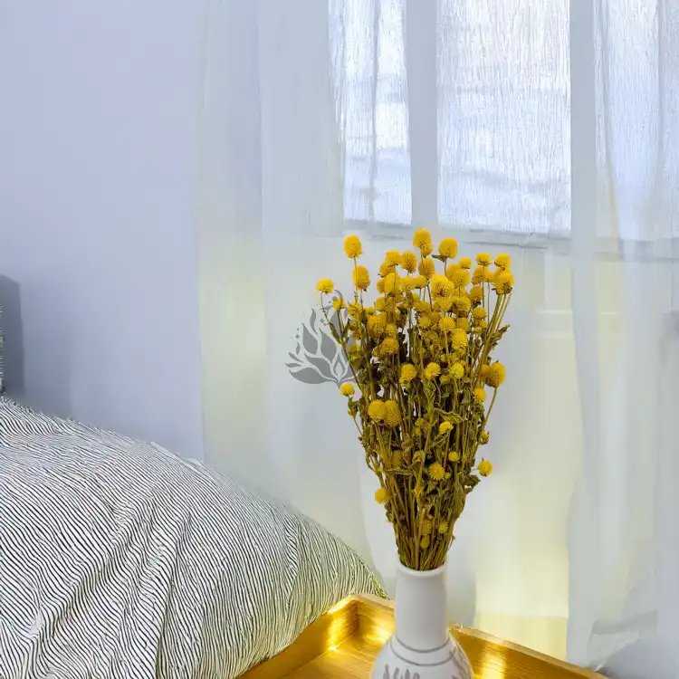 Gomphrena żółta 4.png