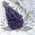 Gomphrena lawendowa 1.png