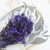 Gomphrena lawendowa 2.png