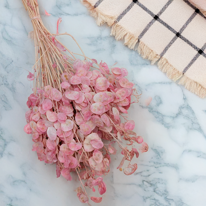 Lunaria IT różowa 1.png