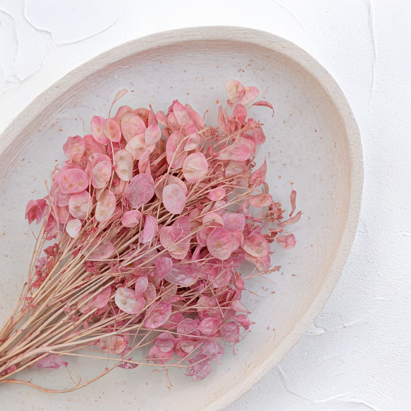 Lunaria IT różowa 2.png