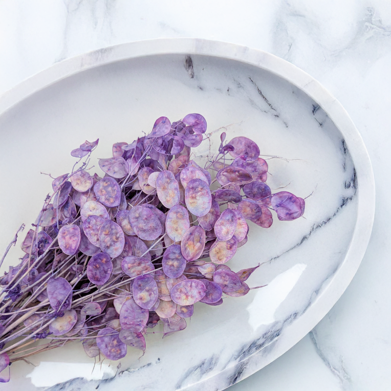 Lunaria IT lawendowa 2.png