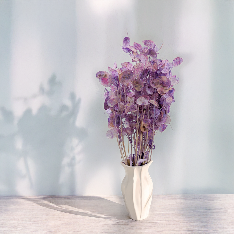 Lunaria IT lawendowa 3.png