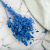 Lunaria IT niebieska 1.png
