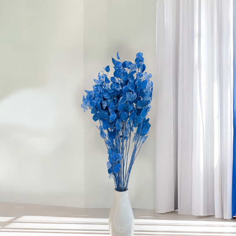 Lunaria IT niebieska 4.png