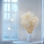 Lunaria IT bielona 4.png