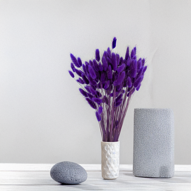 Lagurus fioletowy 3.png