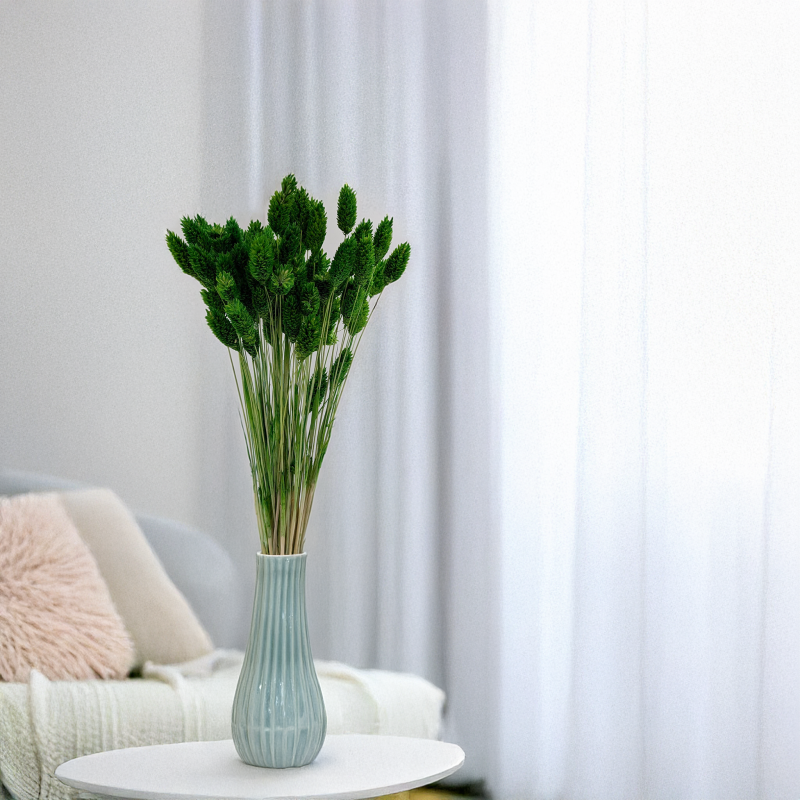 Kanar butelkowy 4.png