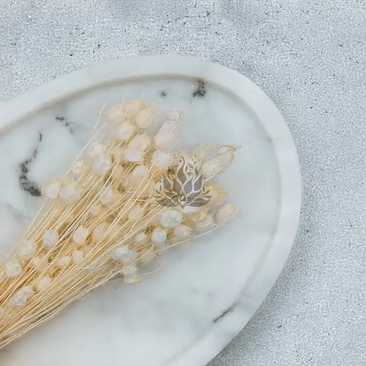 Nigella bielona 2.png