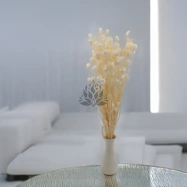 Nigella bielona 3.png