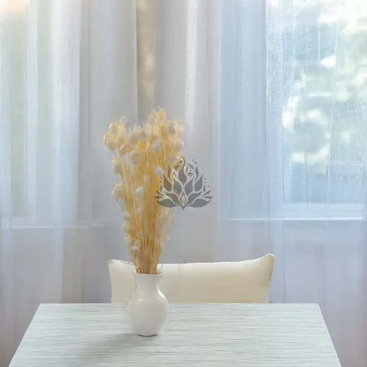 Nigella bielona 4.png