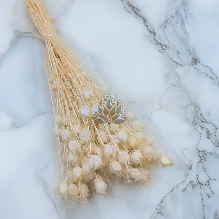 Nigella bielona 1.png