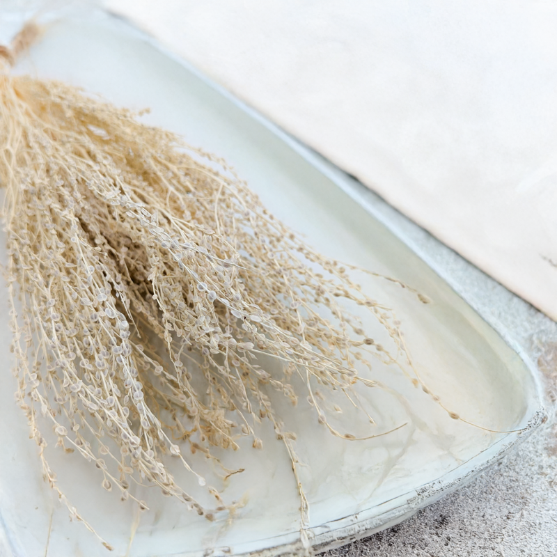 Lepidium Bielone Suszone 6.png