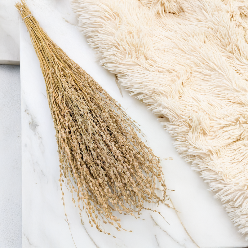 Lepidium Naturalne Suszone 3.png