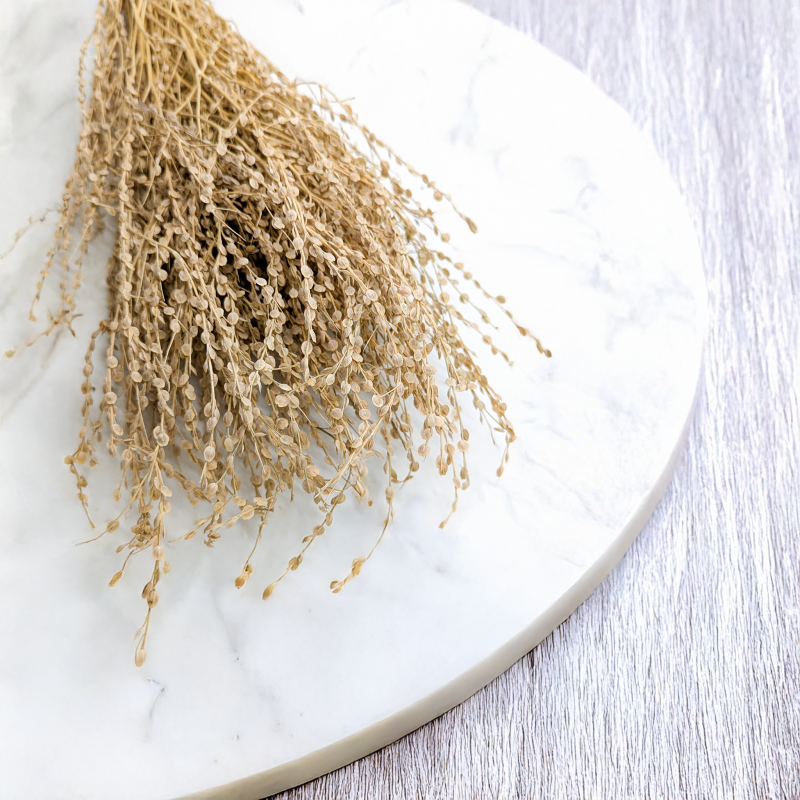 Lepidium Naturalne Suszone 2.png