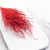 Lepidium Czerwone Suszone 4.png