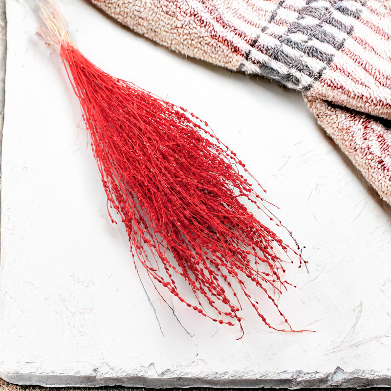 Lepidium Czerwone Suszone 3.png