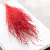 Lepidium Czerwone Suszone 2.png